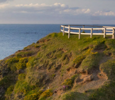 There is always something good in every day