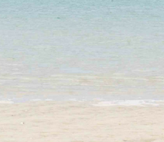 Give the ones you love wings to fly